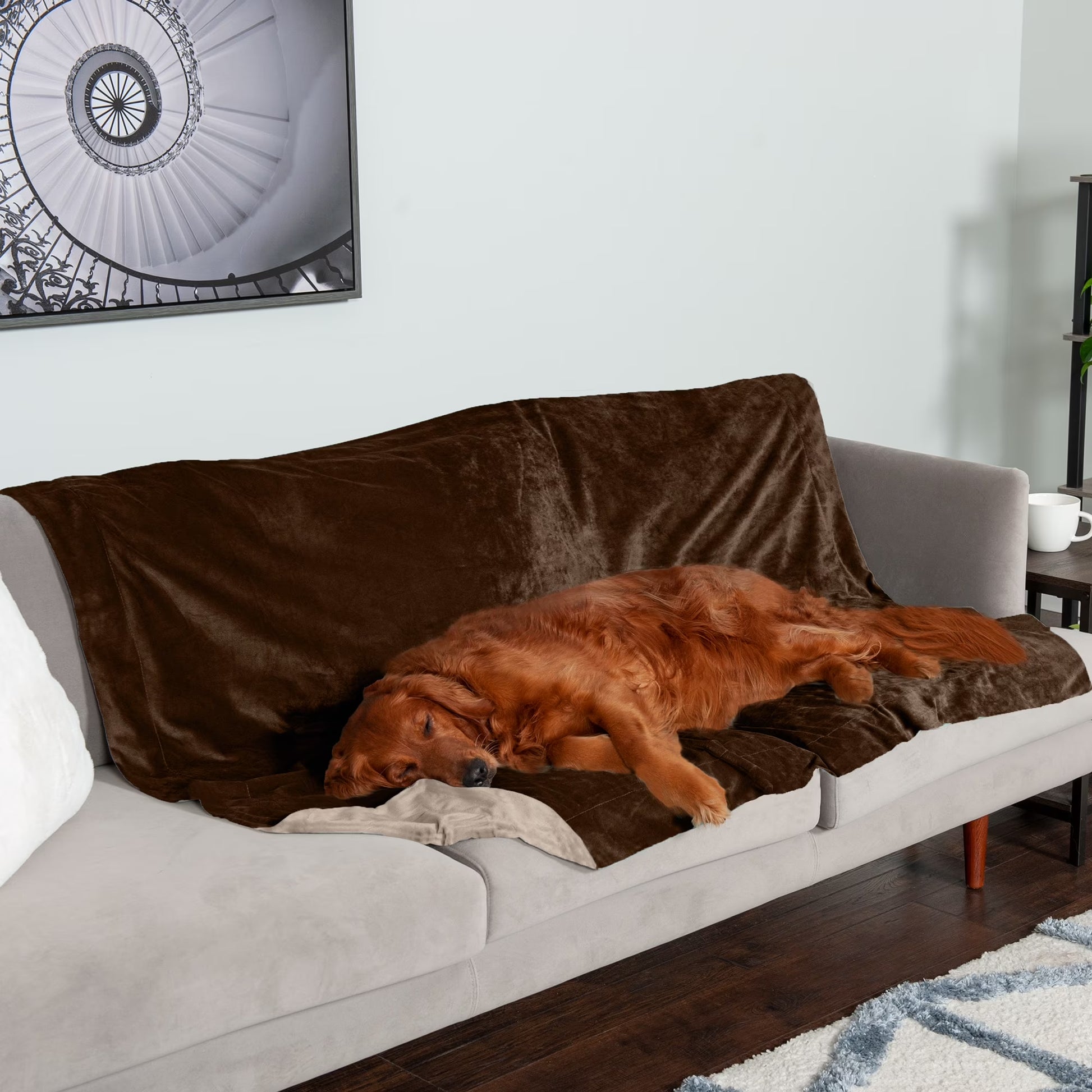 Pet Products Extra Large Waterproof Velvet Pet Blanket for Dogs & Cats, Brownstone