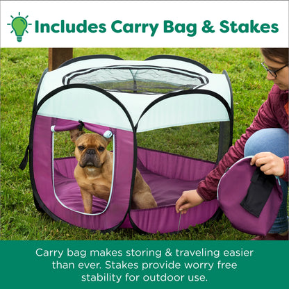 Pet Products Mesh Open-Air Pet Playpen - Watermelon, Medium