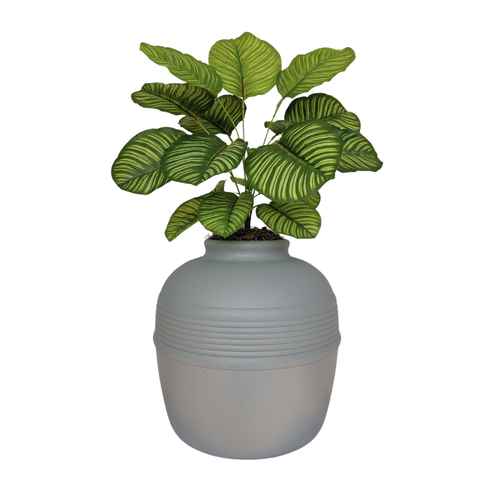 Original Hidden Litter Box Planter, Hooded Litter Box, Fake Plant Good Pet Stuff