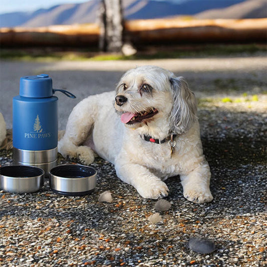 Paw Quencher All-In-1 Dog Water Bottle