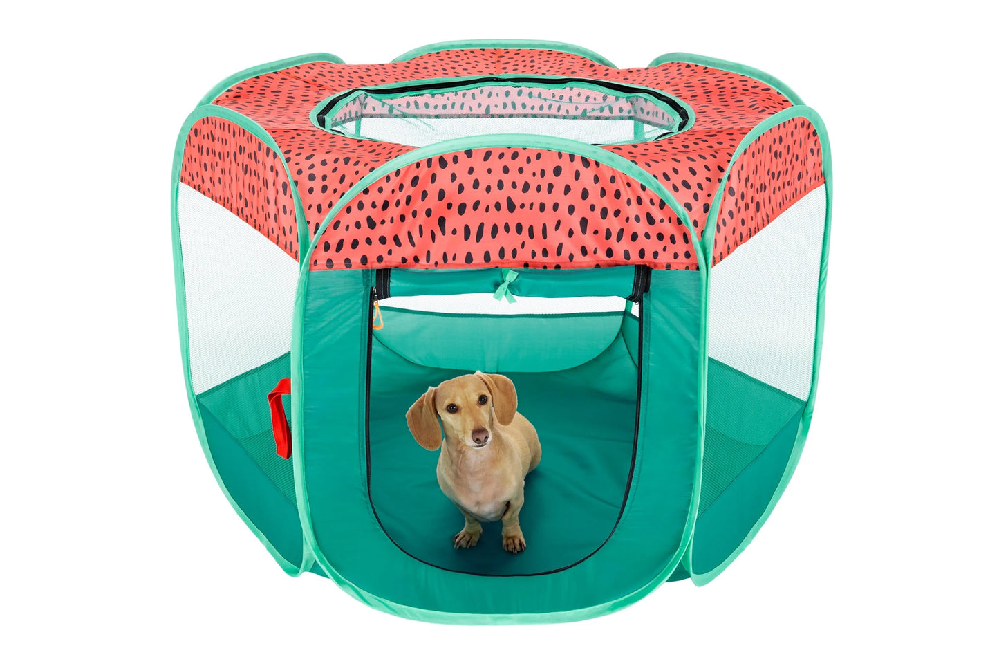 Pet Products Mesh Open-Air Pet Playpen - Watermelon, Medium