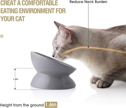 Ceramic Raised Cat Bowls, Slanted Cat Dish Food or Water Bowls, Elevated Porcelain Pet Feeder Bowl (Gray)