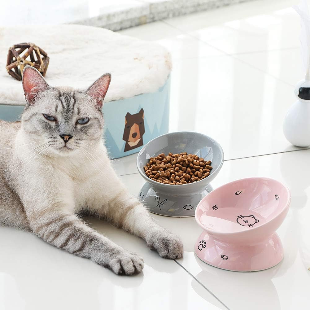 Ceramic Raised Cat Bowls, Slanted Cat Dish Food or Water Bowls, Elevated Porcelain Pet Feeder Bowl (Gray)