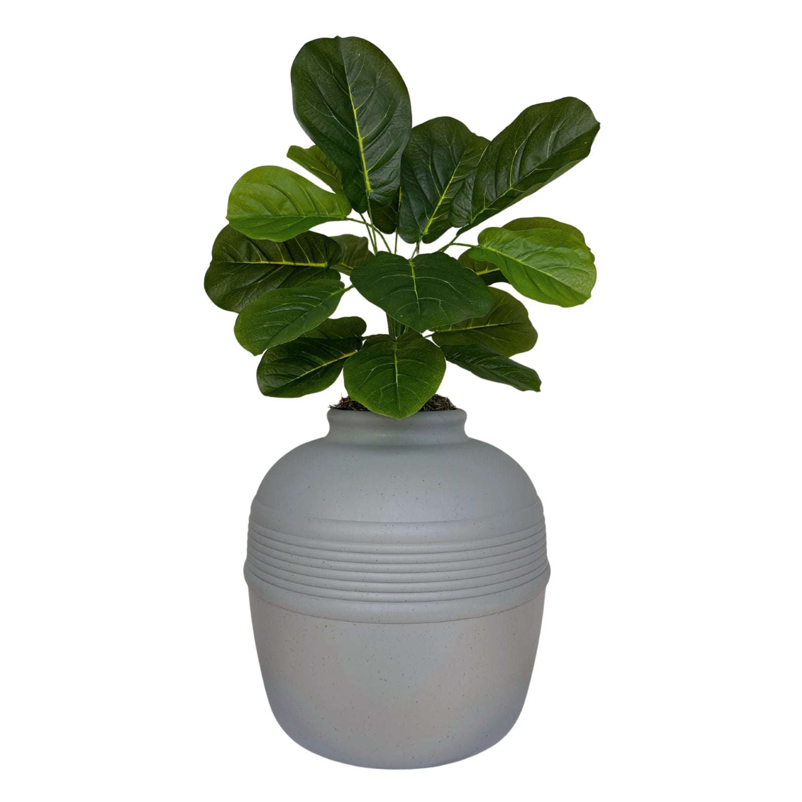 Original Hidden Litter Box Planter, Hooded Litter Box, Fake Plant Good Pet Stuff