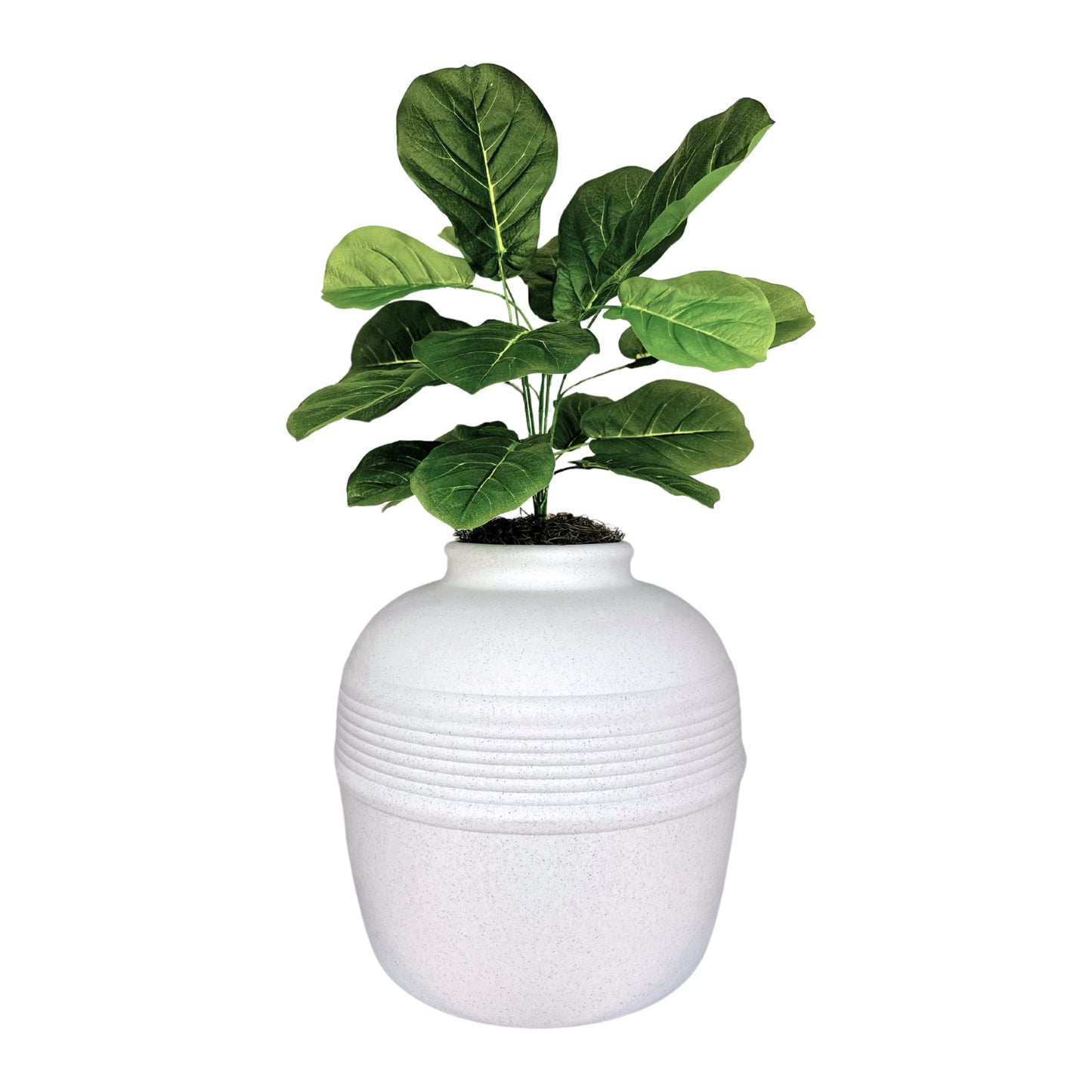 Original Hidden Litter Box Planter, Hooded Litter Box, Fake Plant Good Pet Stuff