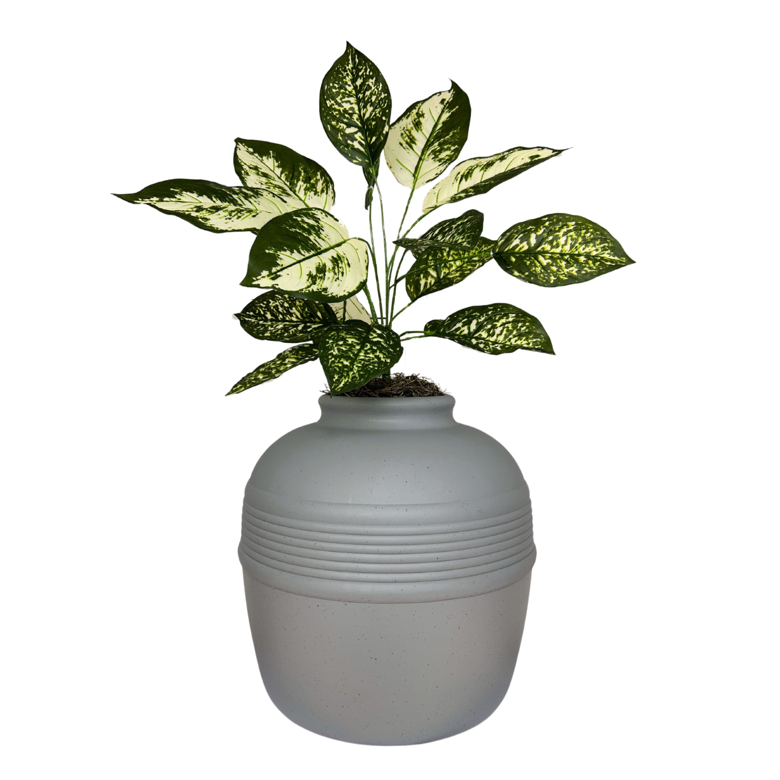 Original Hidden Litter Box Planter, Hooded Litter Box, Fake Plant Good Pet Stuff