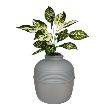 Original Hidden Litter Box Planter, Hooded Litter Box, Fake Plant Good Pet Stuff