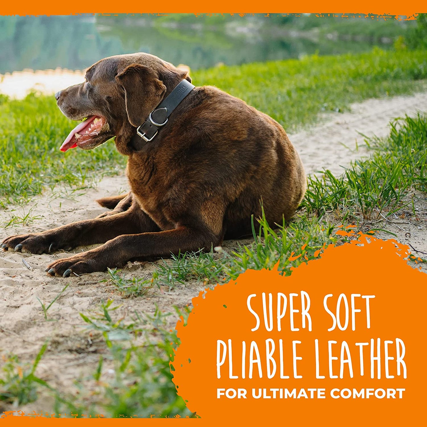 Leather Dog Collar - Genuine Distressed Leather - Strong Metal Buckle - Ultimate Comfort - Modern Style for All Dogs Breeds - Comfort Puppy Collar - (Medium - Brown)