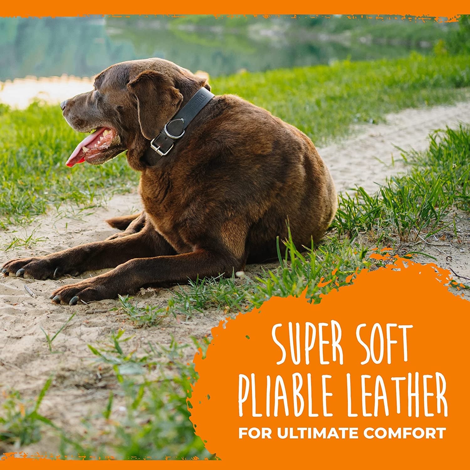 Leather Dog Collar - Genuine Distressed Leather - Strong Metal Buckle - Ultimate Comfort - Modern Style for All Dogs Breeds - Comfort Puppy Collar - (Medium - Brown)