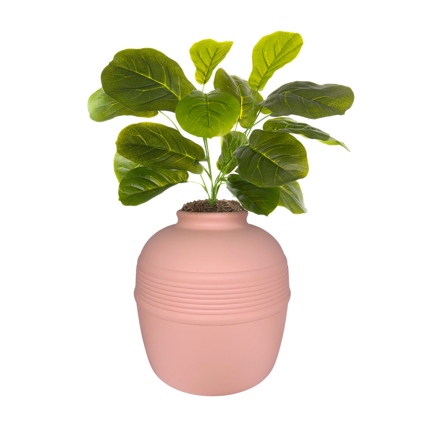 Original Hidden Litter Box Planter, Hooded Litter Box, Fake Plant Good Pet Stuff