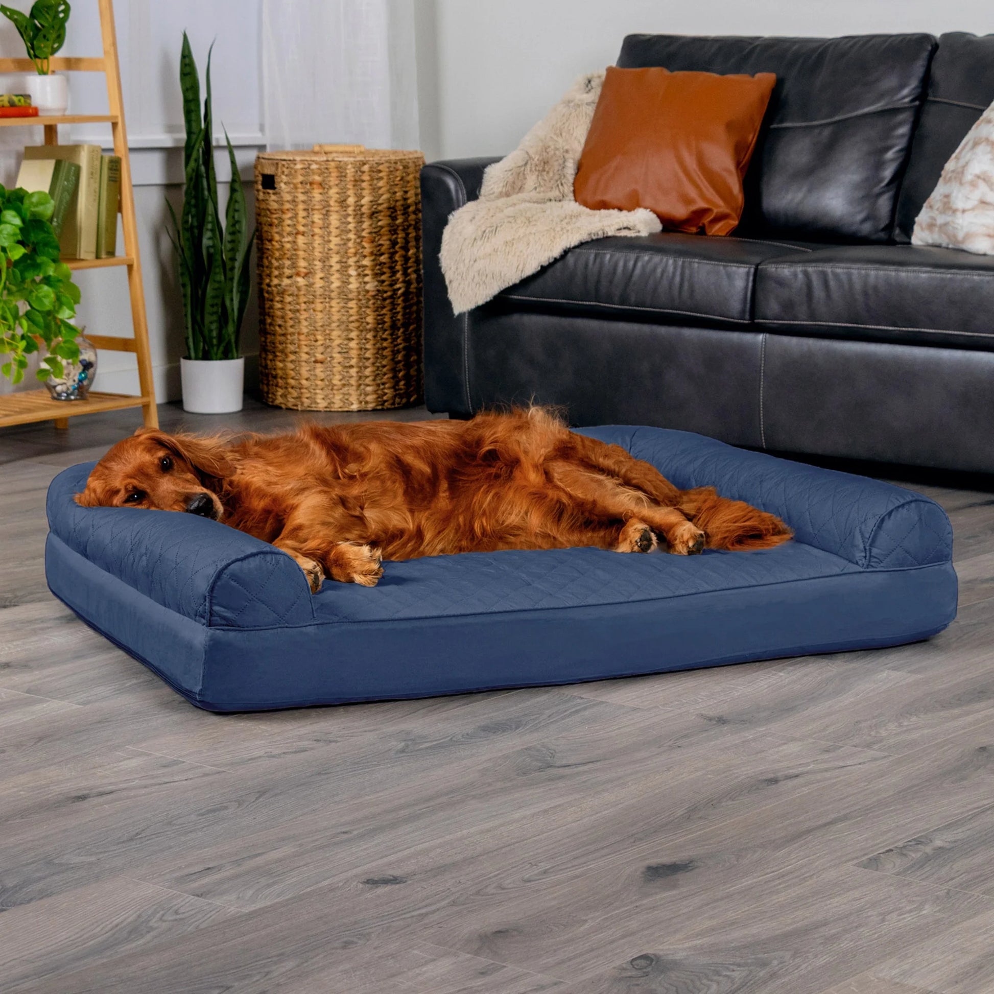 Pet Products Quilted Orthopedic Sofa Pet Bed for Dogs & Cats - Navy, Jumbo