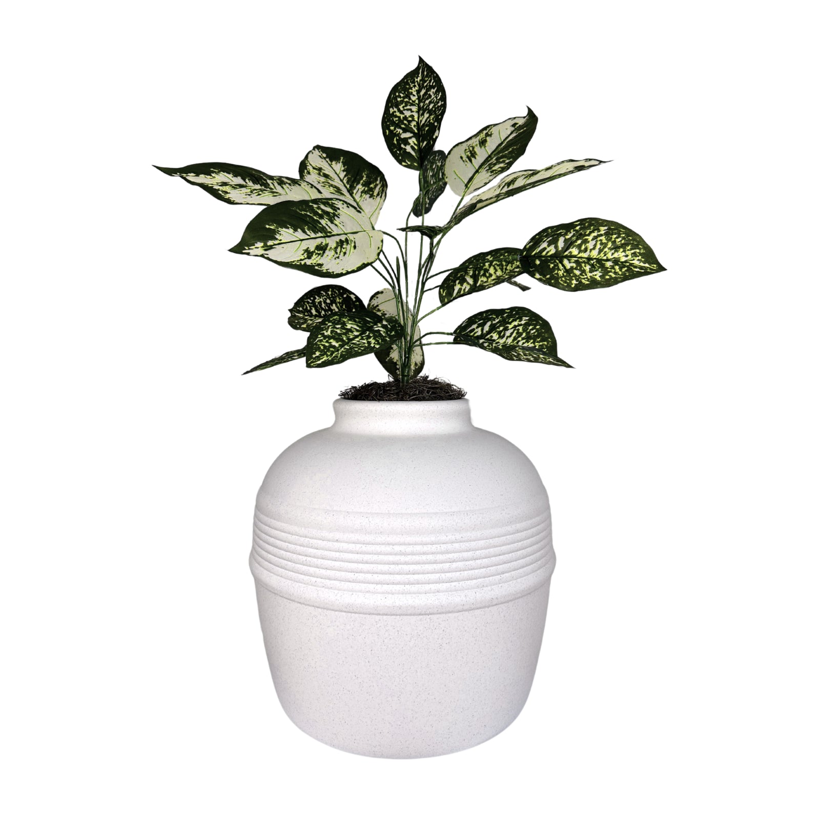 Original Hidden Litter Box Planter, Hooded Litter Box, Fake Plant Good Pet Stuff