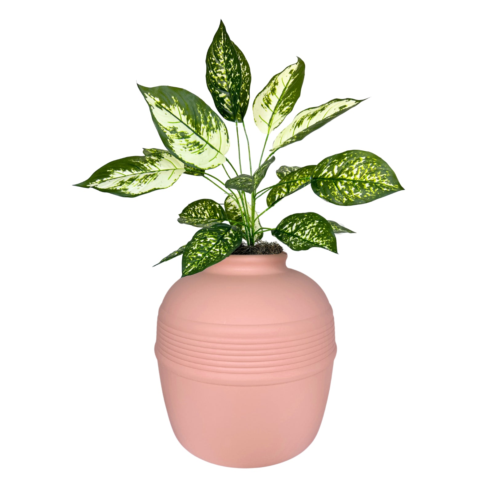 Original Hidden Litter Box Planter, Hooded Litter Box, Fake Plant Good Pet Stuff