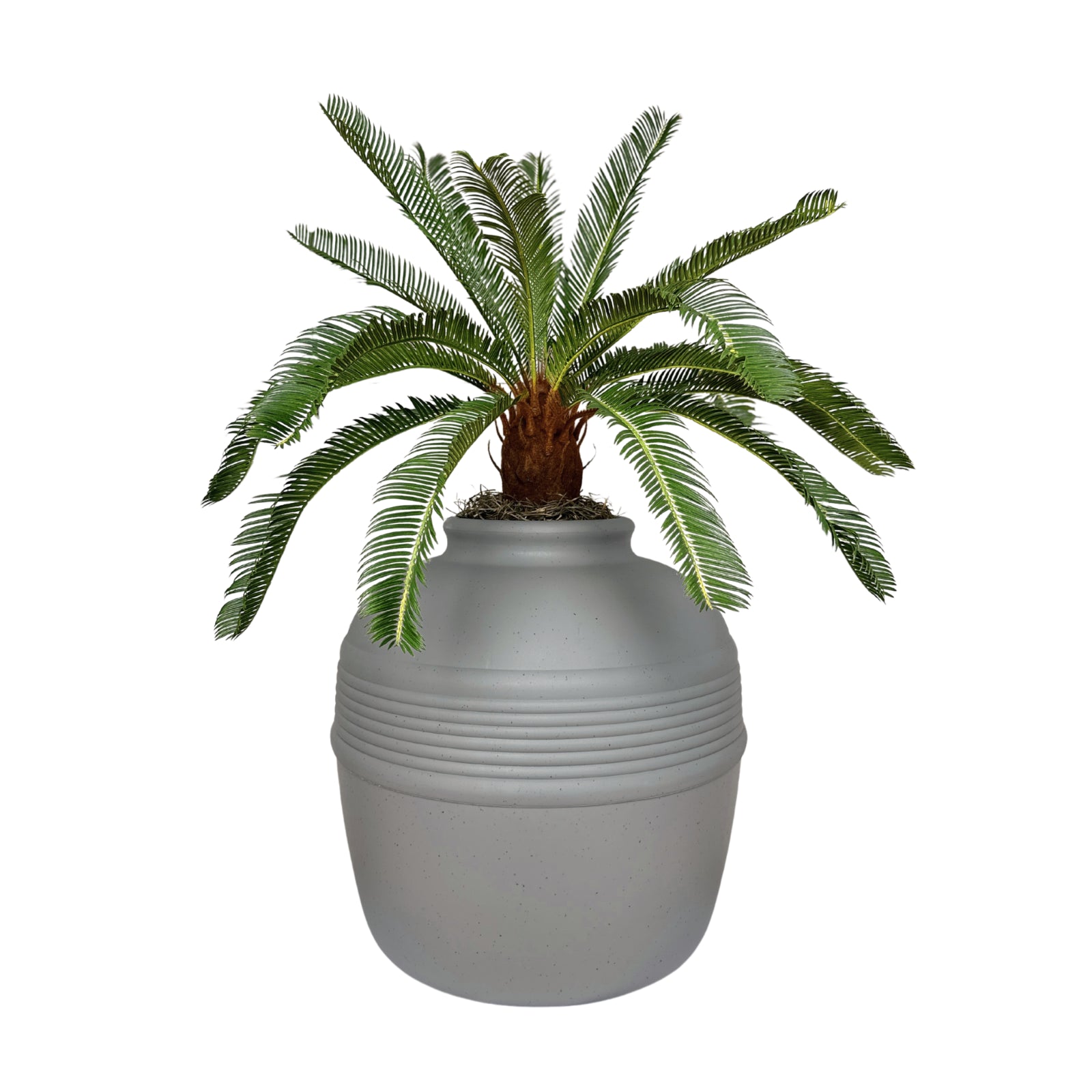 Original Hidden Litter Box Planter, Hooded Litter Box, Fake Plant Good Pet Stuff